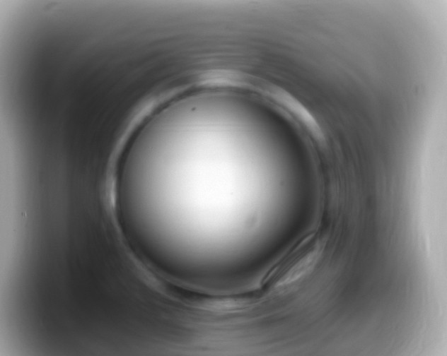 X0000099581376200805231542