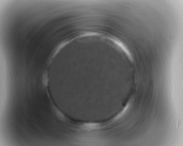 X0000099581377200805231542