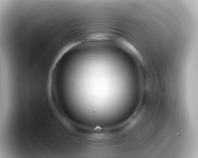 X0000099581378200805231542