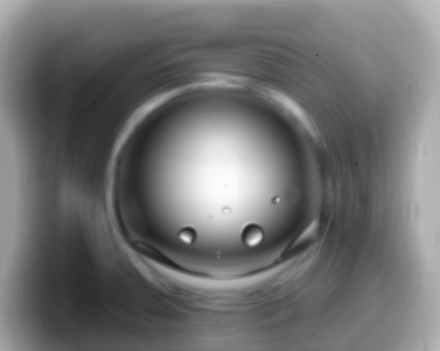 X0000099581379200805231542