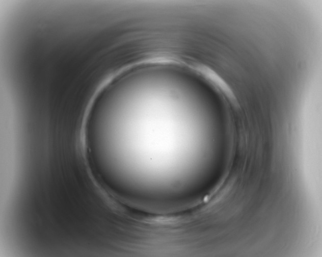 X0000099581380200805231542