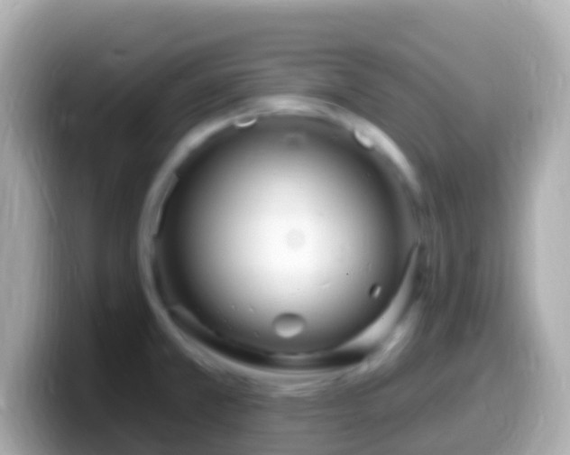 X0000099581381200805231542