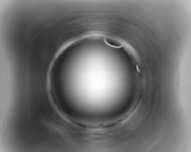 X0000099581382200805231542