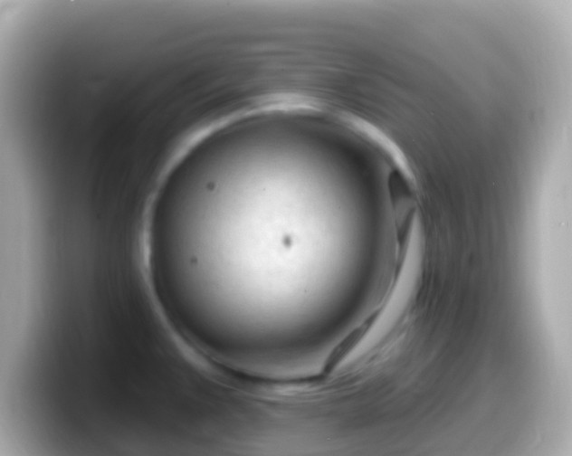 X0000099581383200805231542