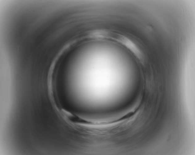 X0000099581384200805231542