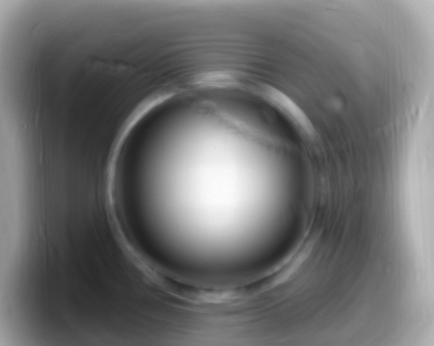 X0000099581386200805231542