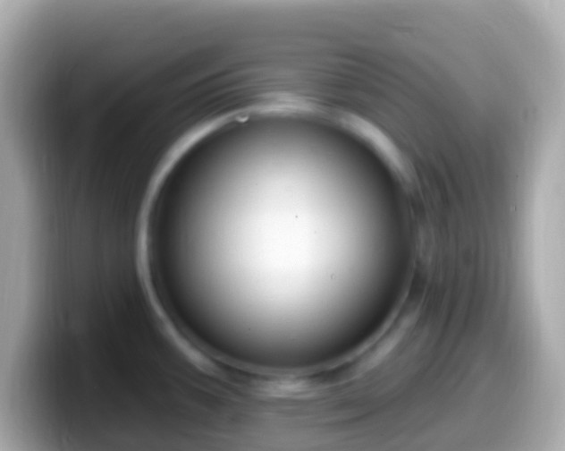 X0000099581387200805231542