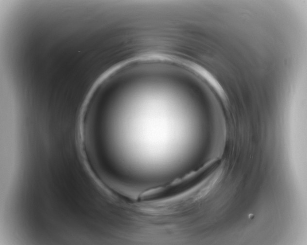 X0000099581388200805231542