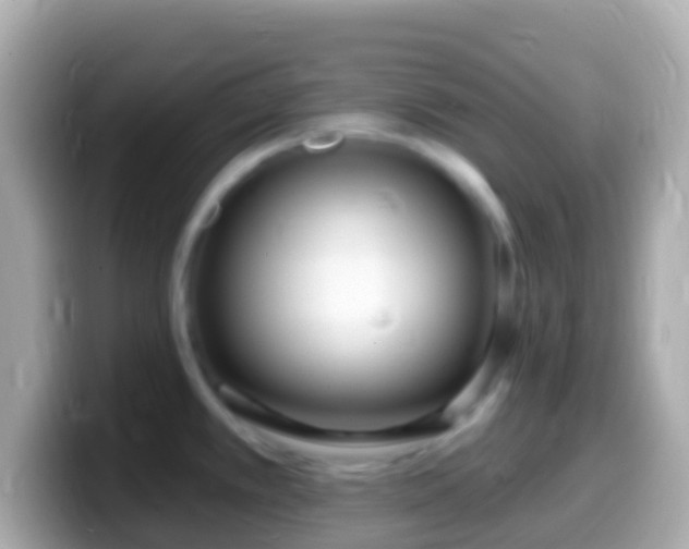 X0000099581389200805231542