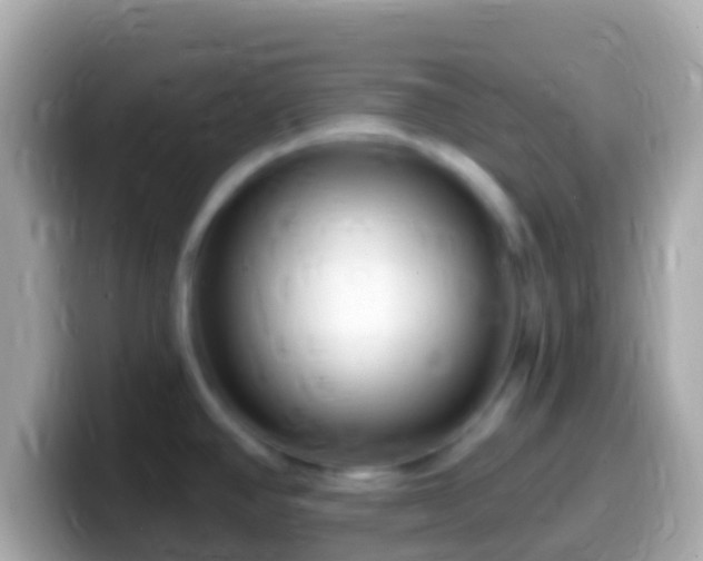X0000099581390200805231542
