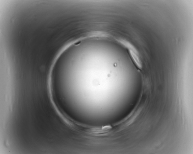 X0000099581391200805231542