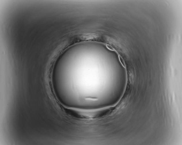 X0000099581393200805231541