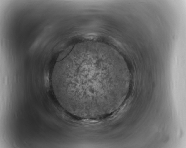 X0000099581394200805231541