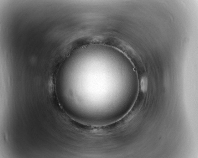 X0000099581395200805231541