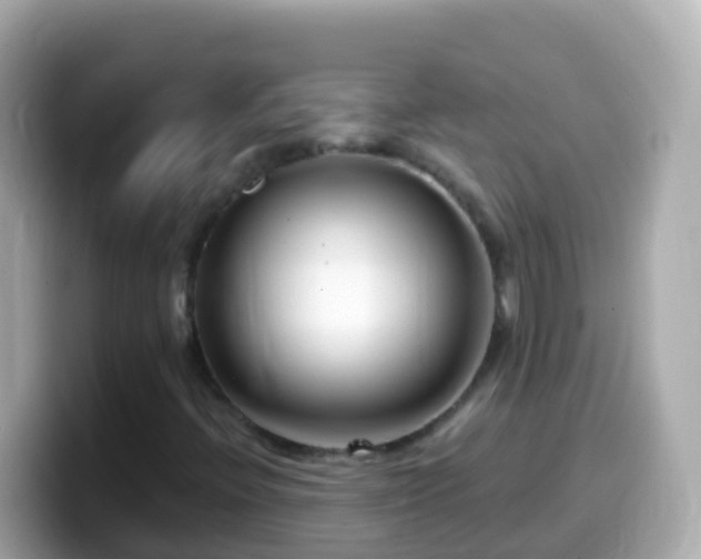 X0000099581396200805231541