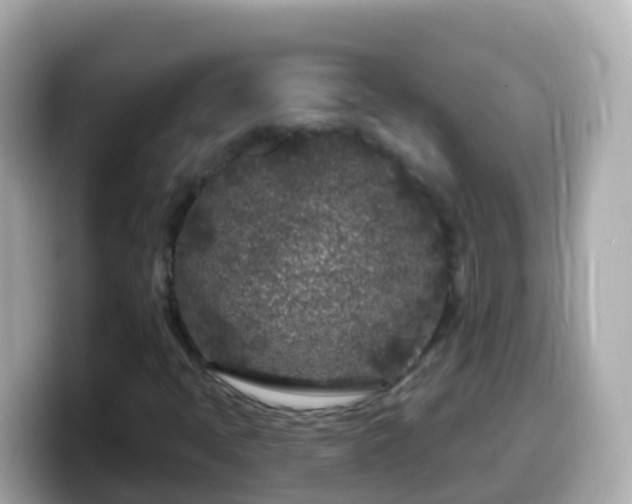 X0000099581397200805231541
