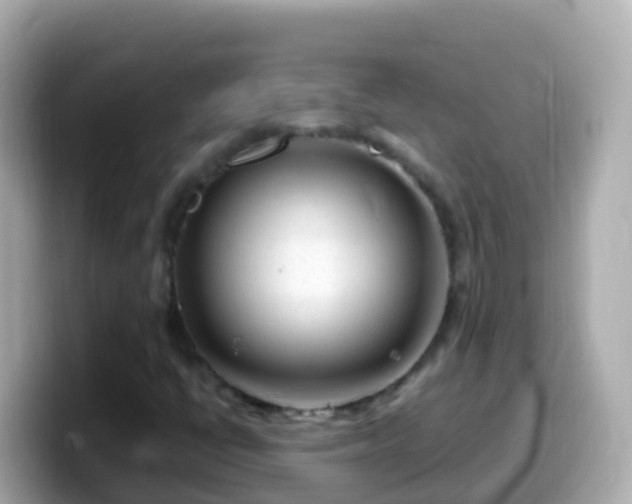 X0000099581398200805231541