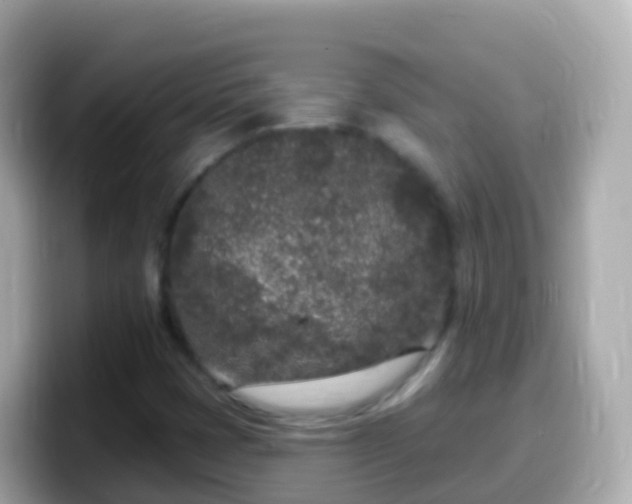 X0000099581401200805231541
