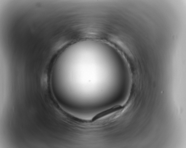 X0000099581402200805231541