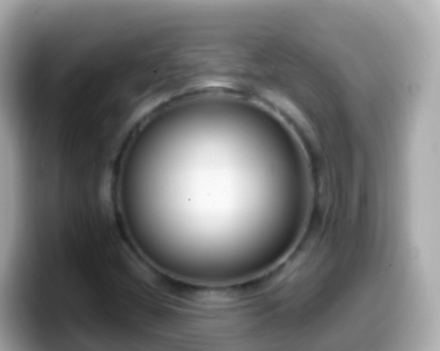 X0000099581404200805231541