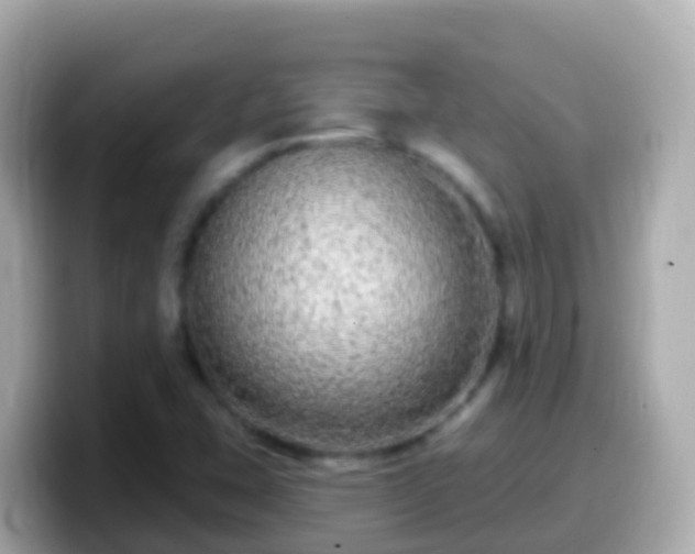 X0000099581407200805231541