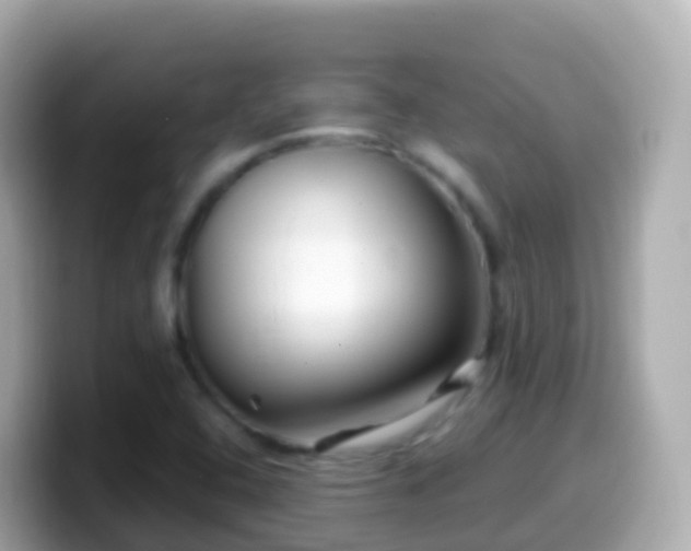 X0000099581408200805231542