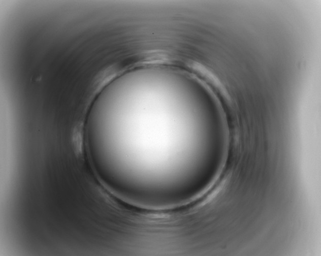 X0000099581409200805231542