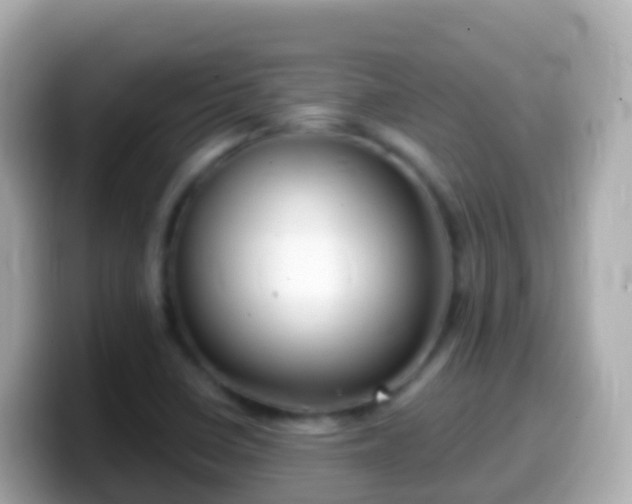 X0000099581410200805231542