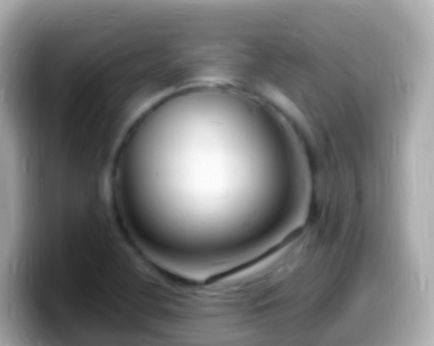 X0000099581412200805231542