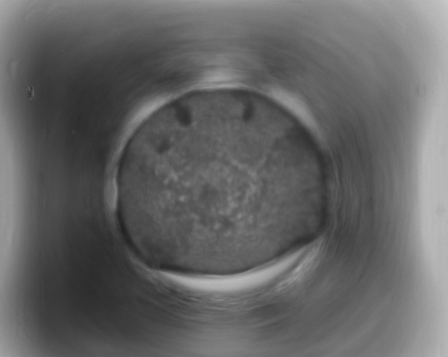 X0000099581413200805231542
