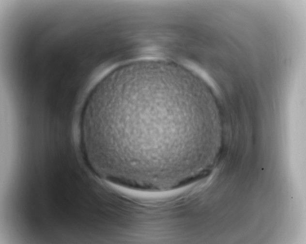 X0000099581415200805231542