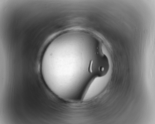 X0000099581416200805231542