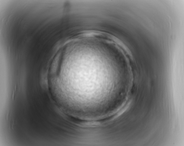 X0000099581417200805231542