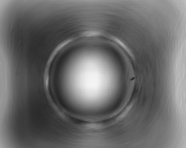 X0000099581418200805231542
