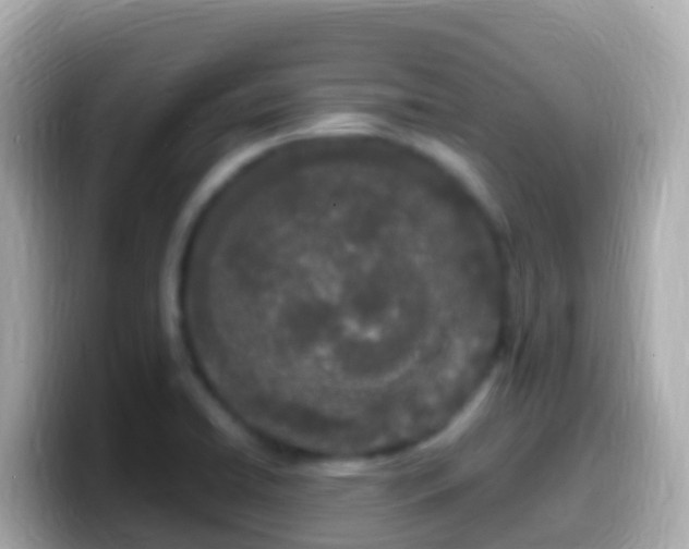 X0000099581422200805231542