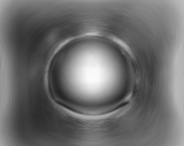 X0000099581423200805231542