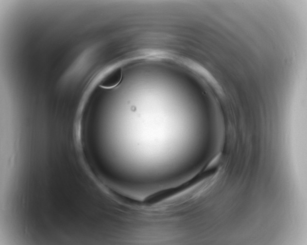 X0000099581424200805231542