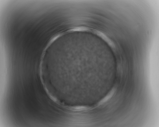 X0000099581425200805231542