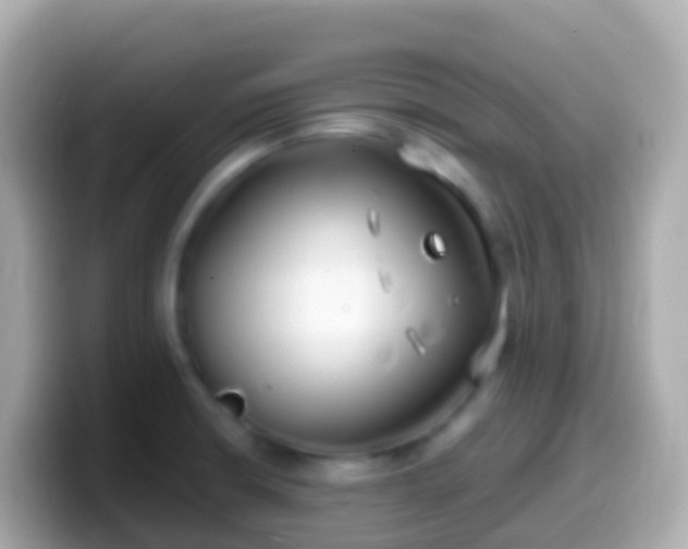 X0000099581426200805231542