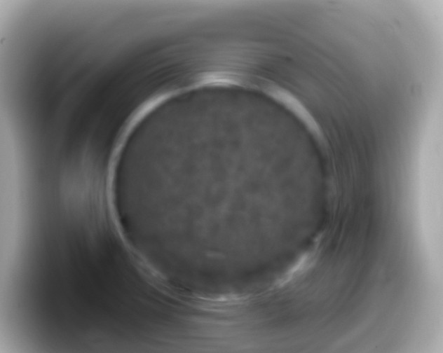 X0000099581427200805231542