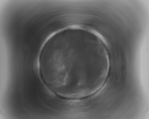 X0000099581428200805231542