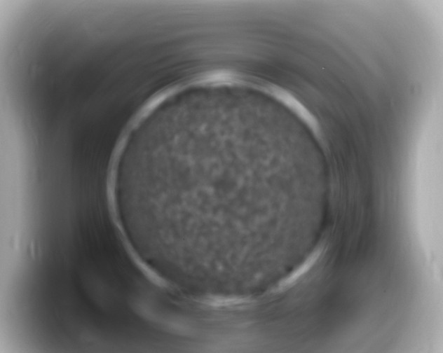 X0000099581429200805231542