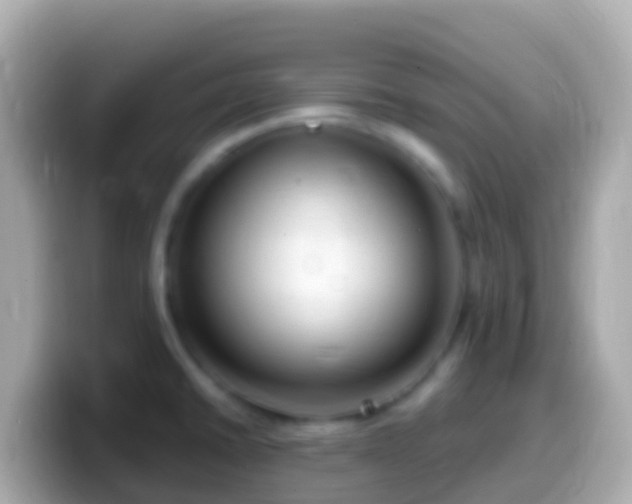 X0000099581430200805231542