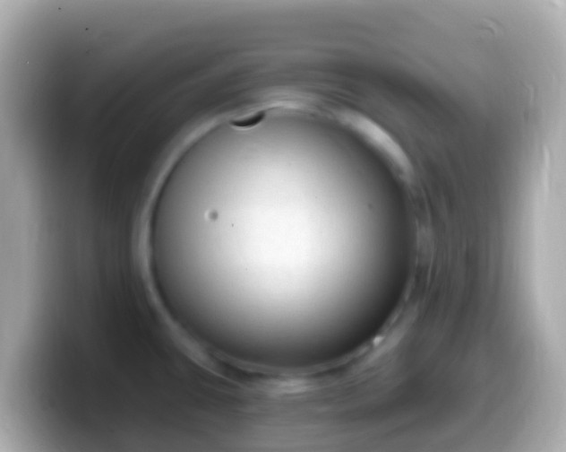 X0000099581431200805231542