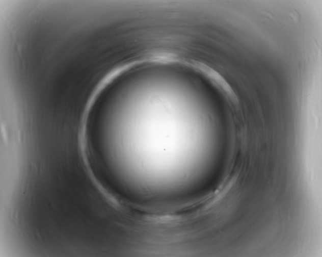 X0000099581432200805231542