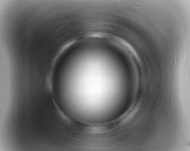 X0000099581433200805231542
