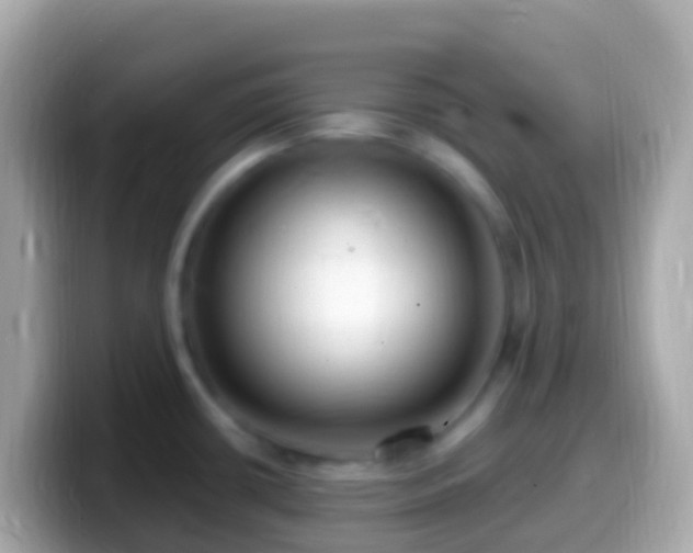 X0000099581434200805231542