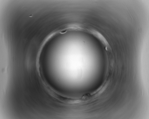X0000099581435200805231542