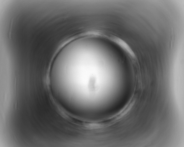 X0000099581436200805231542
