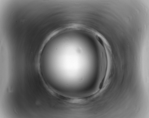 X0000099581437200805231542